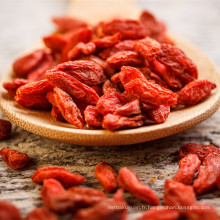 Échantillon gratuit 750granule / 50g Goji Berry avec le meilleur prix